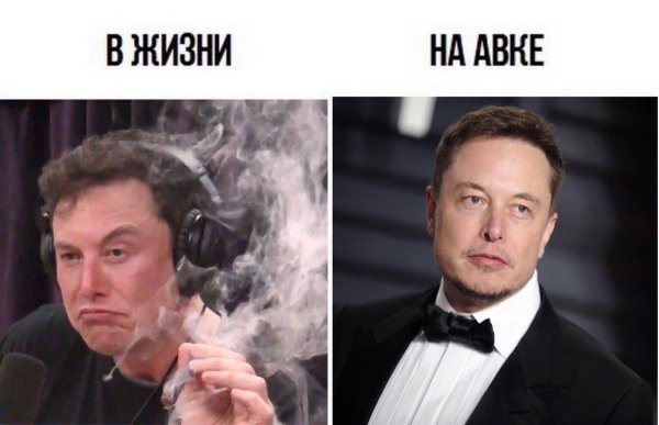 Илон Маск мемы