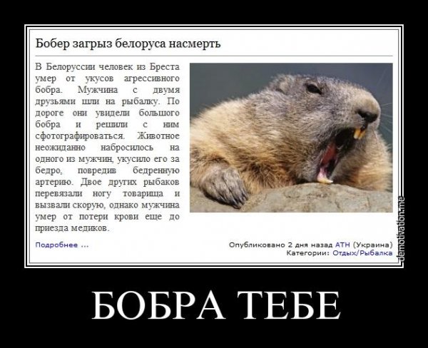 Шутки про Бобров