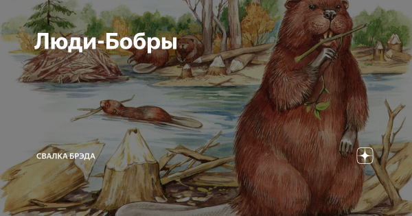 Бобр в очках