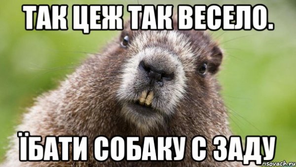 Самый большой Боб