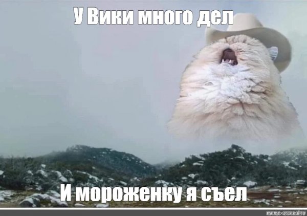Орущий белый кот Мем