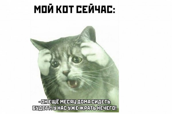 Плачущий кот
