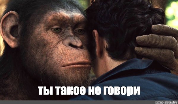 Мемы с обезьяной ты такие вещи не говори (49 фото)