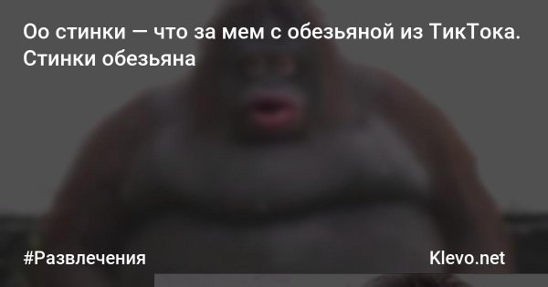 Обезьяна Роберт мэм