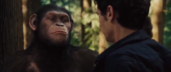 Планета обезьян обезьяны вместе сила