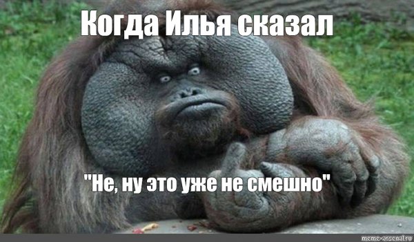 Обезьяна Илья