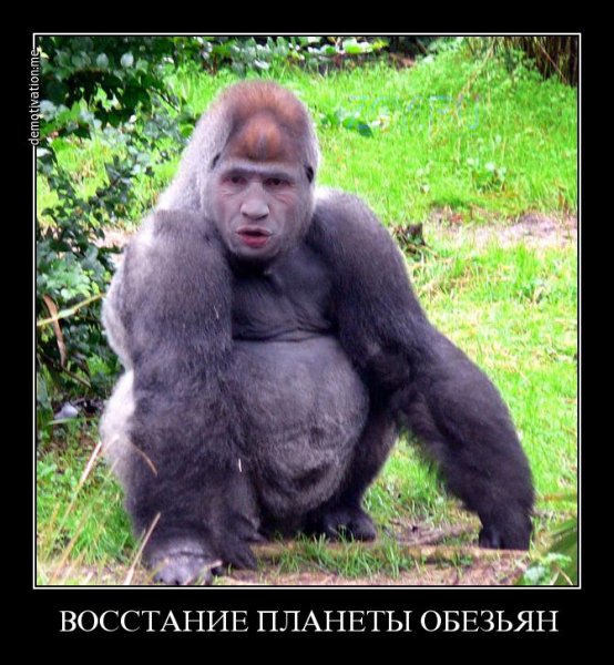 Восстание планеты обезьян прикол