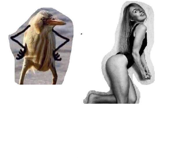 Чел ты обезьяна Мем