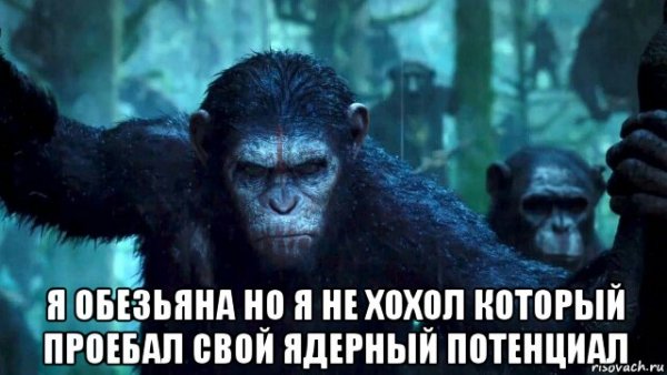 Мемы про Цезаря обезьяну