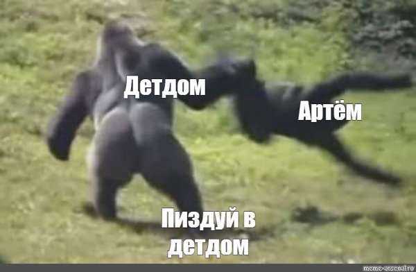 Славик иди нахуй горилла