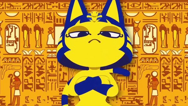 Мемы с египетской кошкой (47 фото)