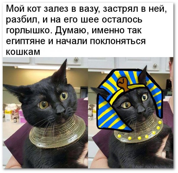 Египетские приколы