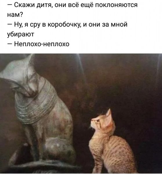 Они еще поклоняются нам дитя