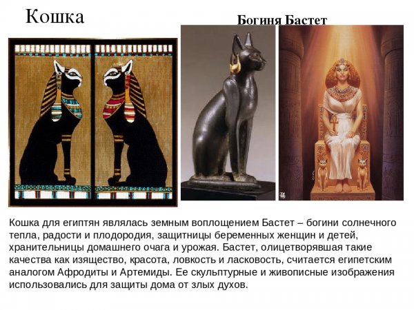 Кошки в Египте