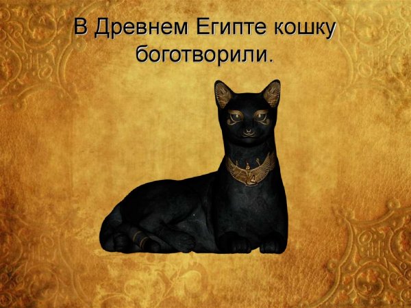 Богиня Бастет сфинкс