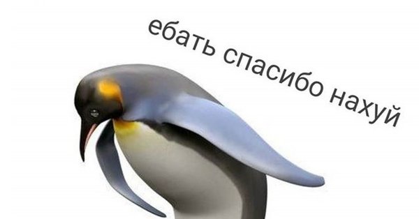 Мемы с пингвином спасибо (46 фото)