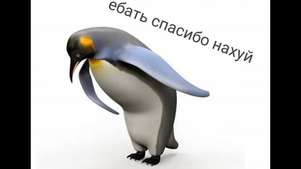 Пингвин кланяется спасибо
