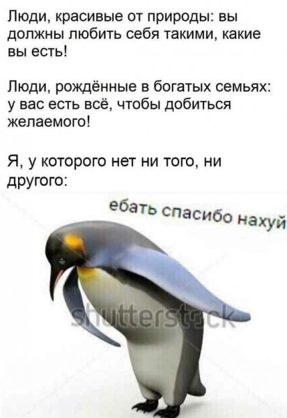 Мем с пингвином спасибо нахуй