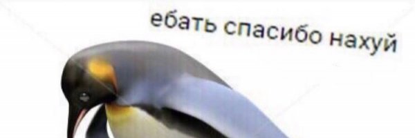 Пингвин спасибо