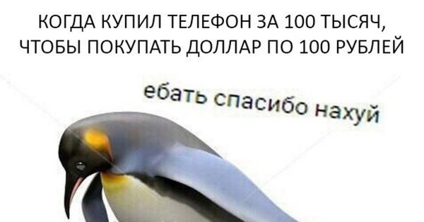 Мем с пингвином спасибо нахуй