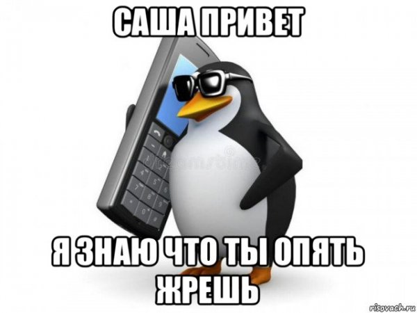 Пингвин кланяется