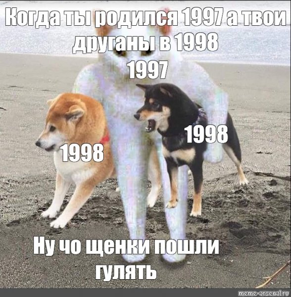 Собирайтесь собачки мы уходим