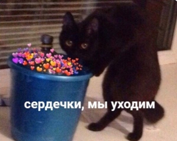 Сердечки мы уходим