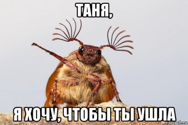 Собирайтесь мы уходим Мем