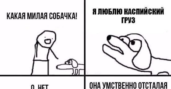 Мем про умственно отсталую собаку