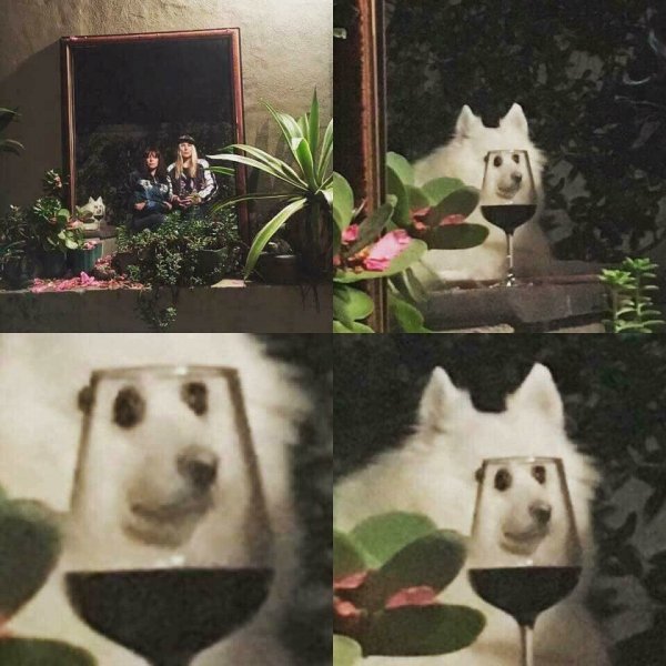 Дороу Мем кот