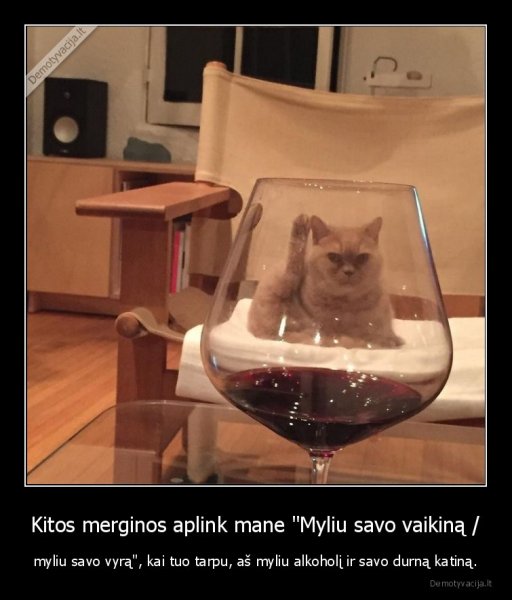Кот сквозь бокал