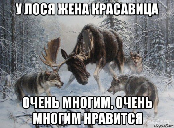 Сохатый Мем