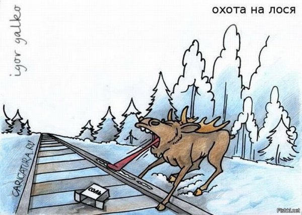 Прикольные карикатуры про охоту