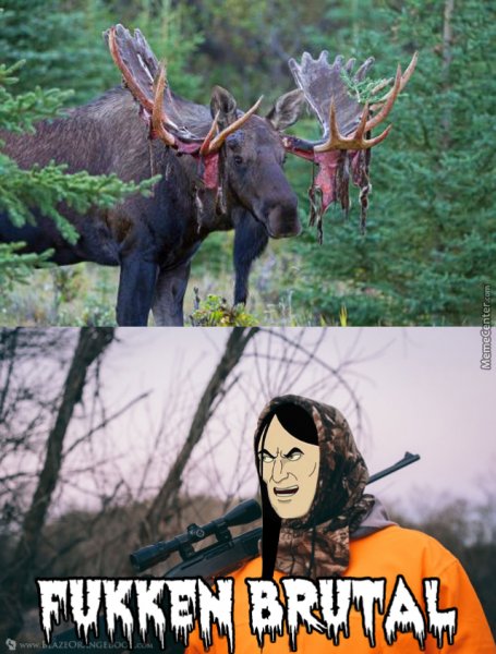 Лось мемы
