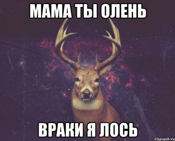 Гигантский Лось в Карелии