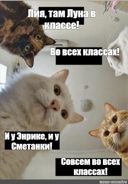 Шутки про Лилю
