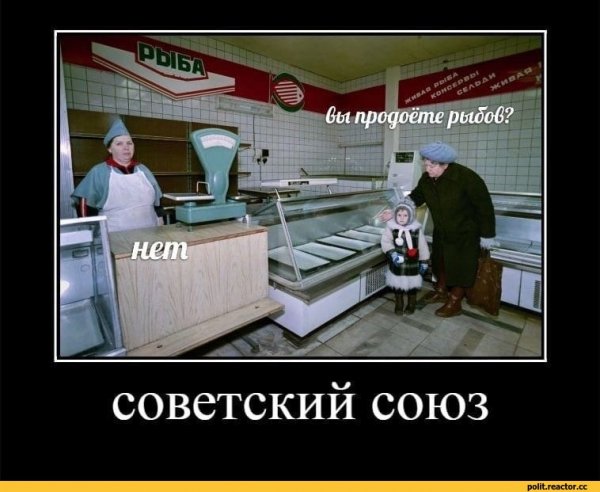 Красивое Мем про котов