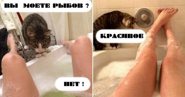 Мем про Рыбов