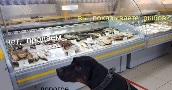 Просто показываю красивое