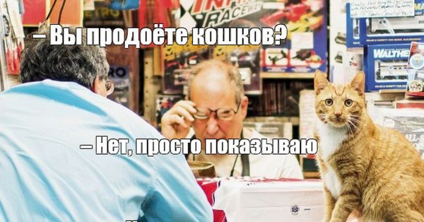 Рыбов продаете