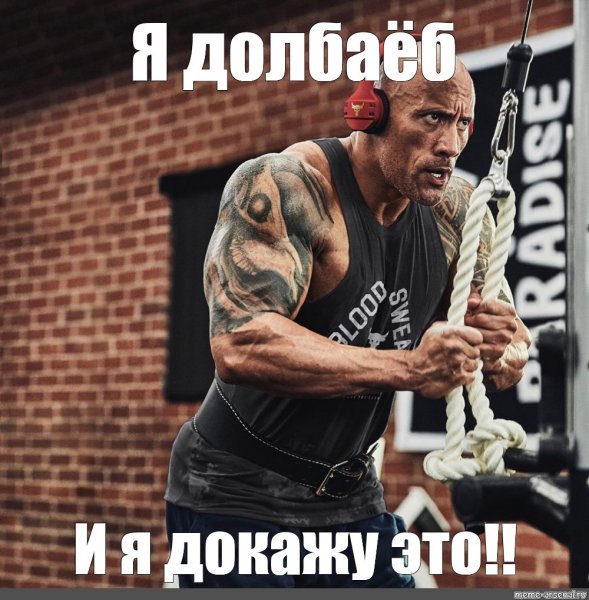 Скала Джонсон Мем