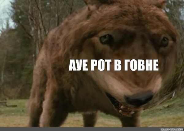 Нутелла Мем
