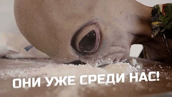 Директор канала РЕН ТВ инопланетянин