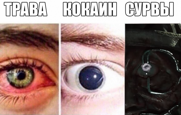 Форевер Элон