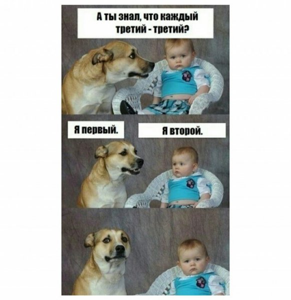 Собака и ребенок Мем