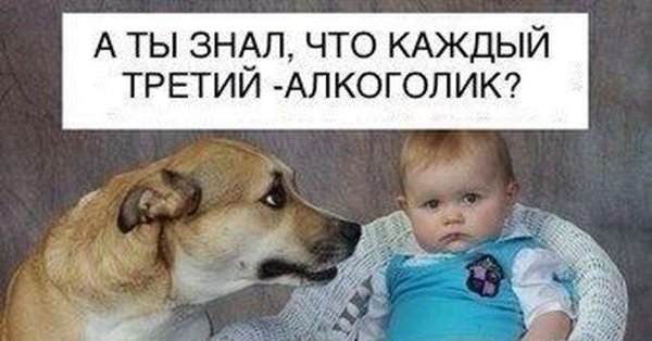 Ребенок и собака каждый третий