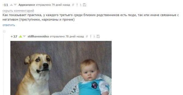 Каждый третий Мем с собакой