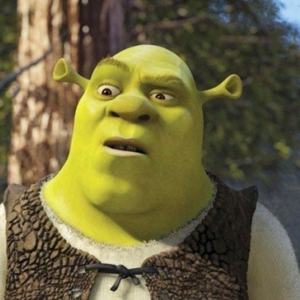 Удивленный Шрек