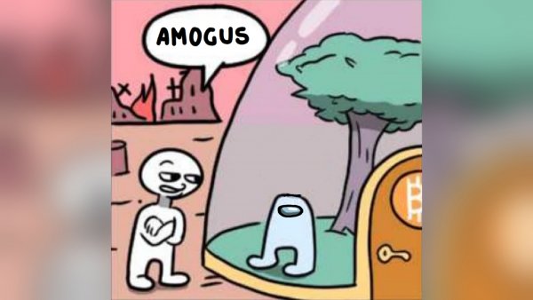 Stonetoss Amoguss