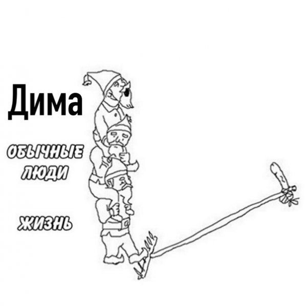 Мемы про Диму